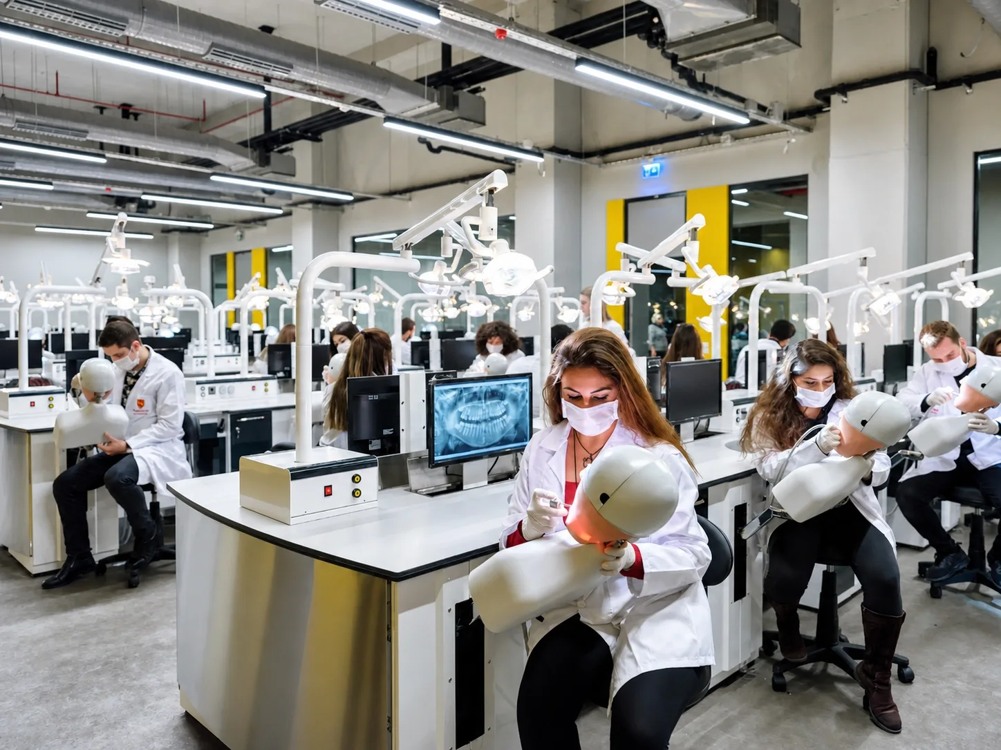 Faculty of Dentistry