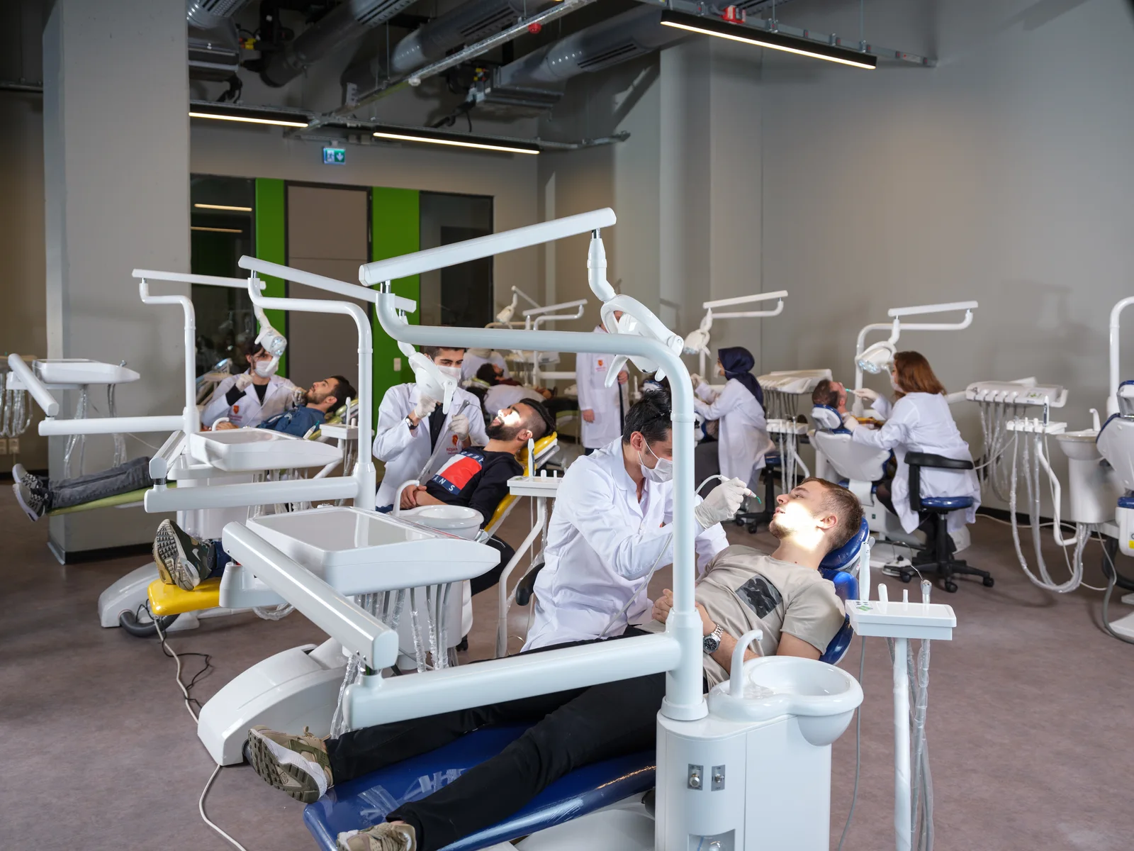 Faculty of Dentistry