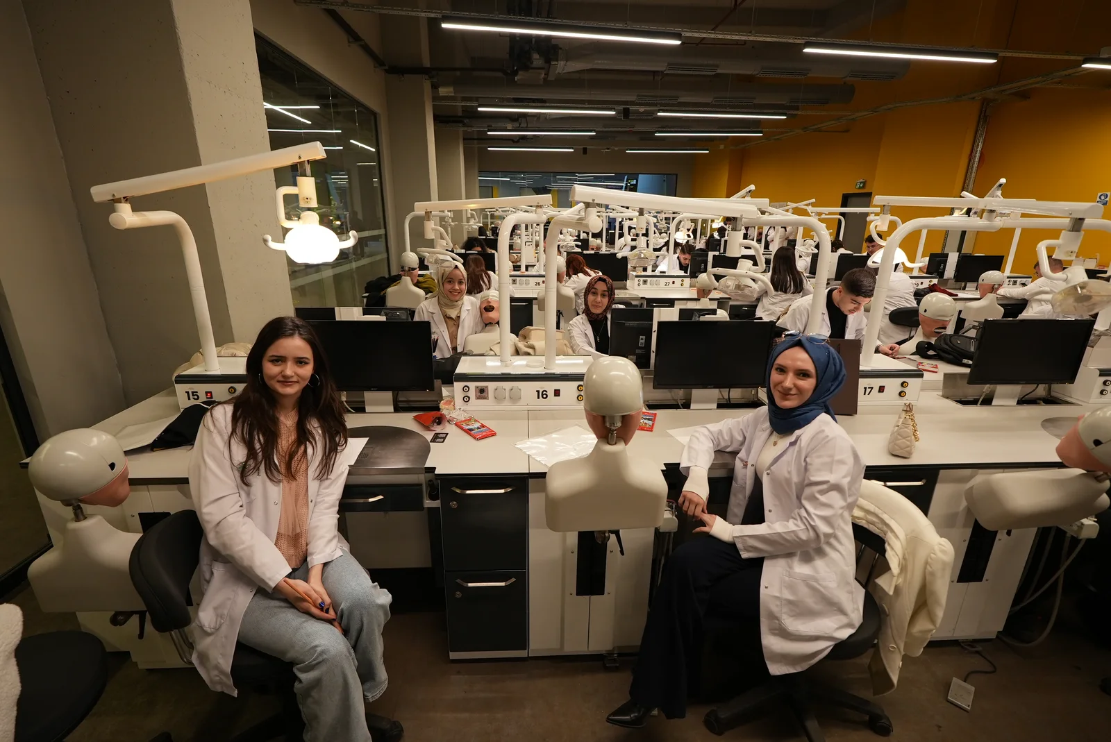 Faculty of Dentistry
