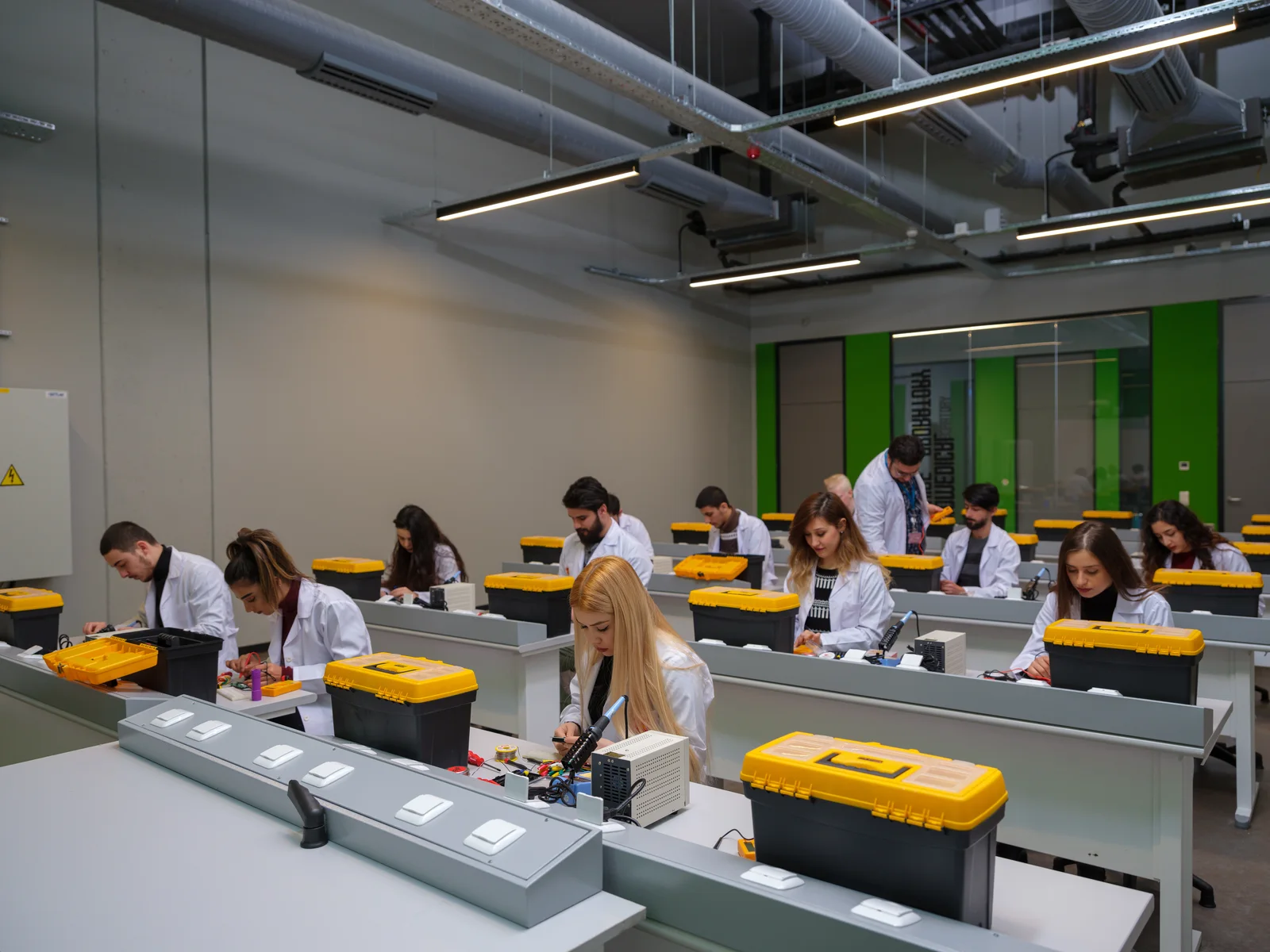 Faculty of Medicine